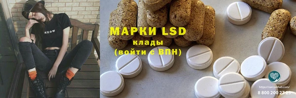 ECSTASY Алзамай