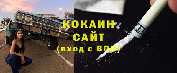 ECSTASY Алзамай