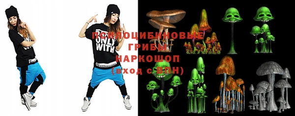ECSTASY Алзамай