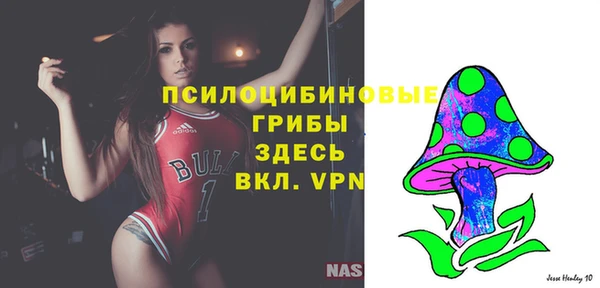 ECSTASY Алзамай