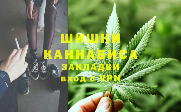 сатива Алексеевка