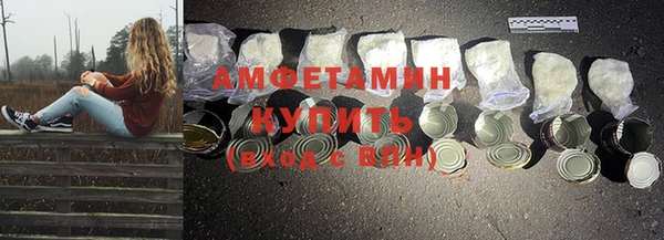 индика Ростов