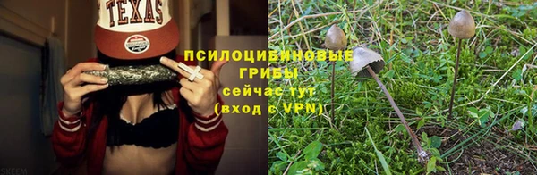 ECSTASY Алзамай